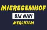 mieregemhof-3-orig_1