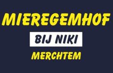 mieregemhof-3-orig_1